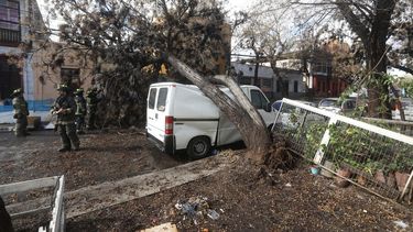 Michelle Adam por viento de 124 km en Santiago: Si esto ya ocurrió, va a volver a ocurrir