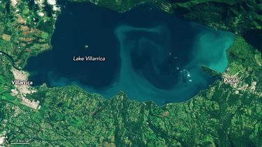 “Estamos viendo morir el Villarrica”: Piden acelerar el plan de descontaminación del lago