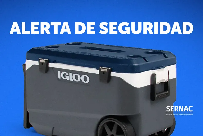 11769 diseno sin titulo 2025 02 18t211717.webp