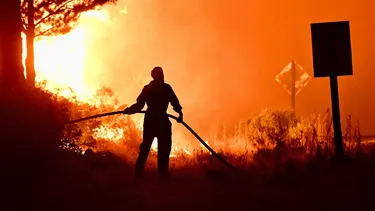 Ecocidio por falta de recursos y nula acción gubernamental: Argentinos apuntan a Milei por mega incendio en Patagonia