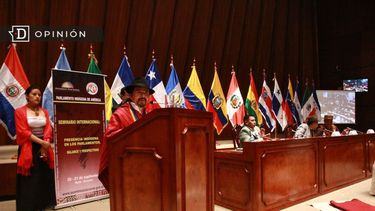 El Desconcierto | 8882 sesion plenaria del parlamento indigena de america pia.jpg
