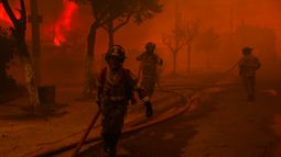 Impacto por detención de tercer implicado en mega incendio de Viña: Bombero y trabajador Senapred