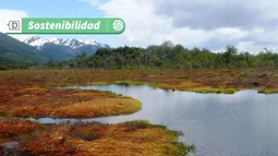 Sistema con doble función: Nueva iniciativa de la U. de Chile protege turberas y planifica hidrógeno verde en Magallanes