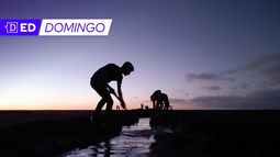 Río Maipo: la delicada situación del río que ya no logra llegar al mar