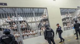 Plataforma de DD.HH. acusa a Bukele de sesgo autoritario y cuestiona detenciones arbitrarias