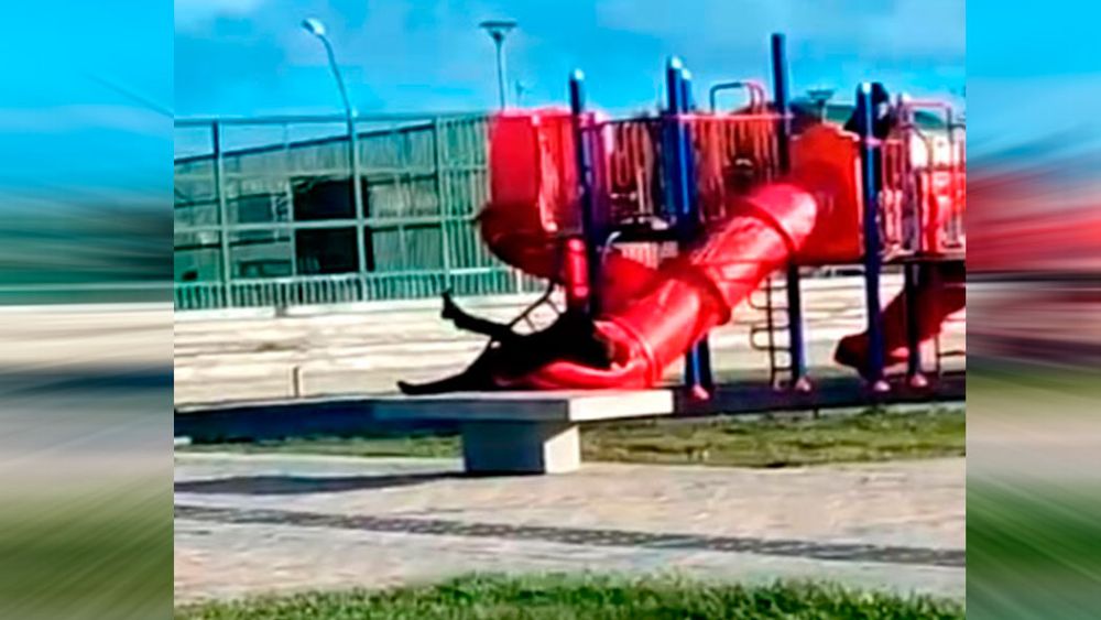 Alcalde de Punta Arenas pide tomarse con humor chascarro de Boric: “No se rompió el tobogán”