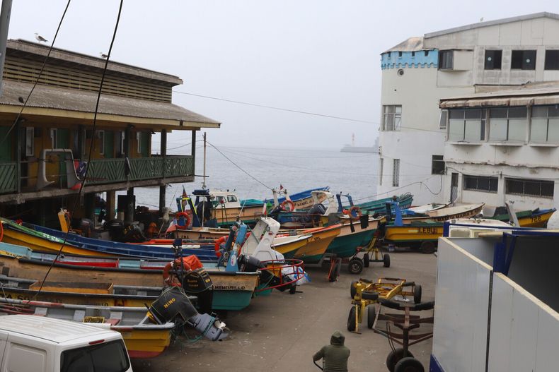 6630 pesca.jpg