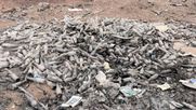 La CEO de Santiago Slow encontró que casi la totalidad de las botellas en los vertederos ilegales del Desierto de Atacama corresponde a la marca Corona.