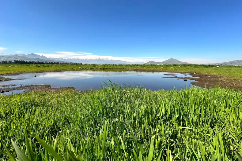 14860 humedal quilicura.webp