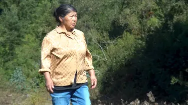 Julia Chuñil habría acusado amenazas de Forestal Arauco antes de desaparecer: Revelan carta en medio de investigación