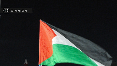 El Desconcierto | Bandera Palestina e1717857737334.png
