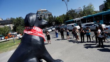 Matapacos: Creador aclara que es arte y que acallarlo revive hechos de la dictadura