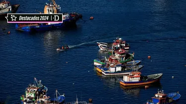 El Desconcierto | 9250 pesca.webp