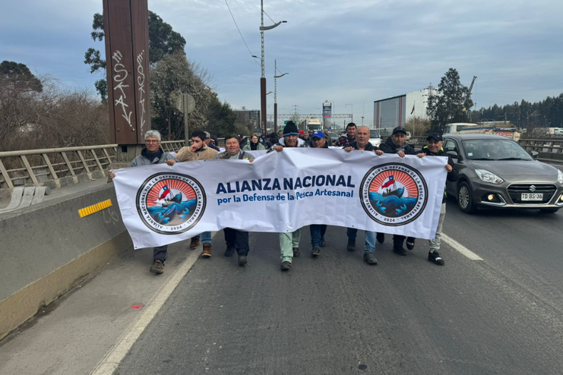 el colmo de pescadores artesanales deben comprarle sardina a industriales para poder pescarla.png