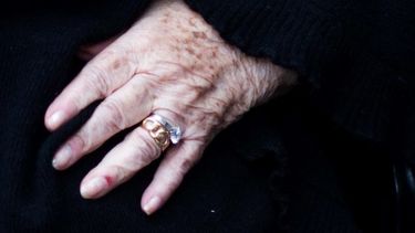 Logran reducir las moléculas que matan las neuronas en ratones con Alzheimer