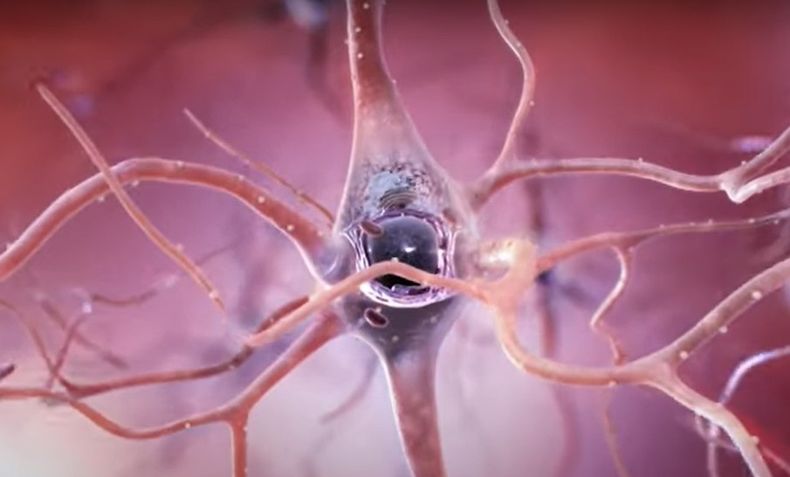 Parkinson imagen referencial.jpg