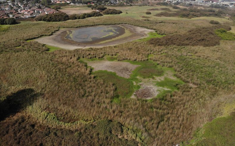 Humedal Prince 3 1500x936 1.jpg