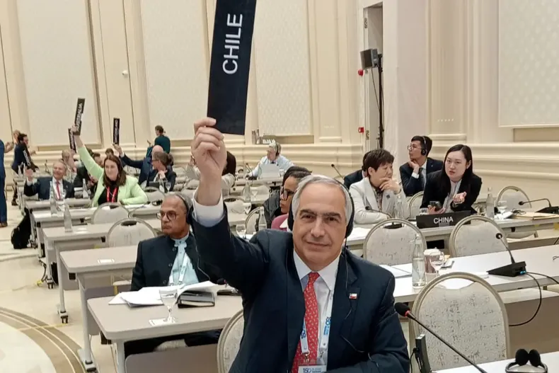 14125 francisco chahuan.webp