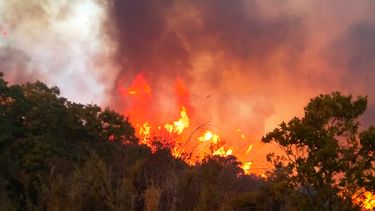 VIDEOS| Alerta Roja por gigantesco incendio forestal en Colliguay: 400 hectáreas de bosque nativo consumidas