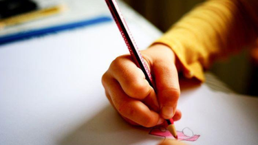 Lanzan manual de 39 tareas para desarrollar pensamiento computacional en estudiantes de básica
