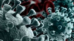 COVID-19: Pacientes sintomáticos desarrollan al menos seis meses de inmunidad al virus