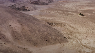 Pampa del Tamarugal de Tarapacá es postulada a Patrimonio de la Humanidad por geoglifos