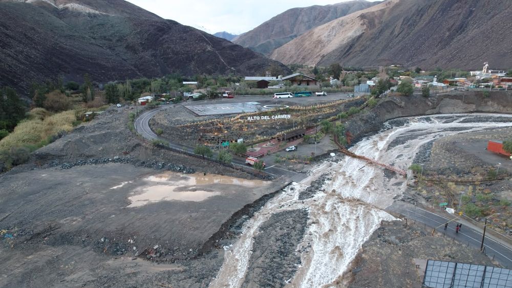 Industria del pisco sufrió daños por las lluvias en Región de Coquimbo - Agencia Uno