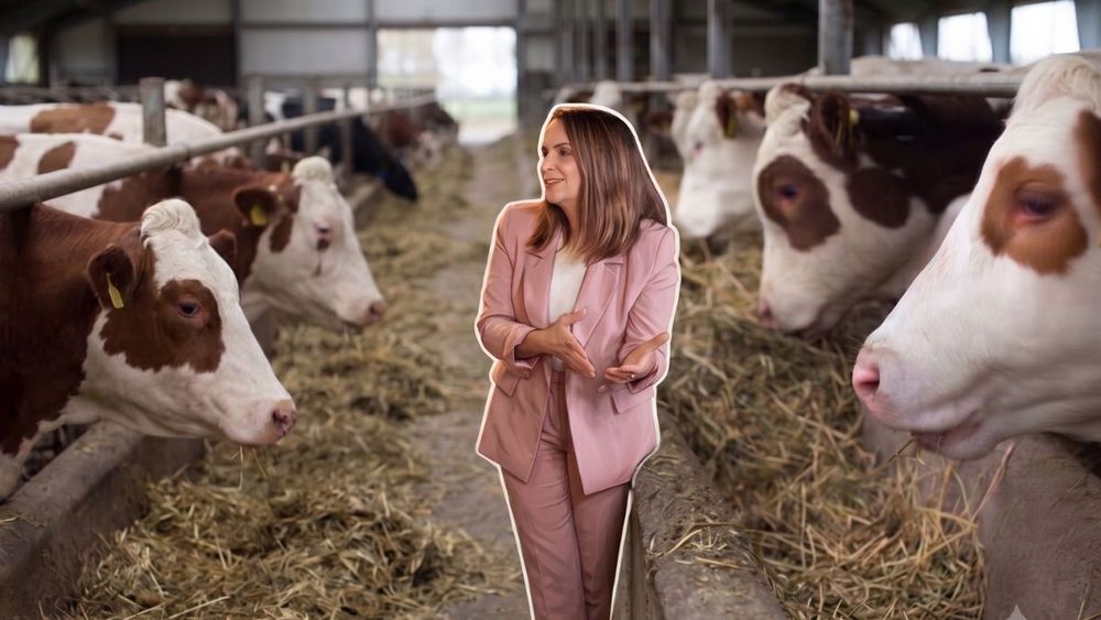 La directora de la Escuela de Medicina Veterinaria de la Universidad Mayor, Daniela Siel, abordó los desafíos de la seguridad alimentaria mundial, el rol central del bienestar animal en la producción sostenible y las responsabilidades que recaen sobre gobiernos y empresas.
