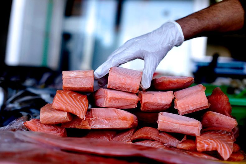 salmon.jpg