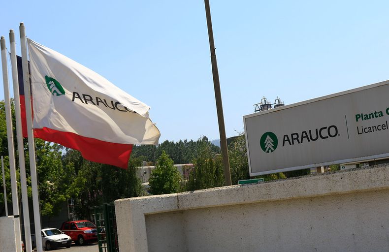 arauco.jpg