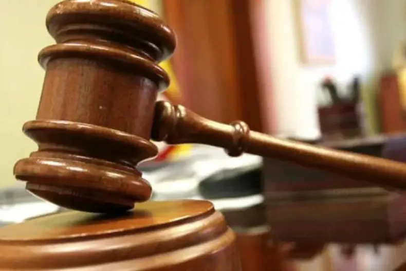 12337 diseno sin titulo 2025 03 04t214549.webp