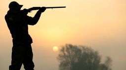 Colombia prohíbe la caza deportiva por considerar que solo causa crueldad y sufrimiento en los animales