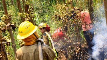 Después de los incendios: ¿Más Estado, más privados o más comunes?