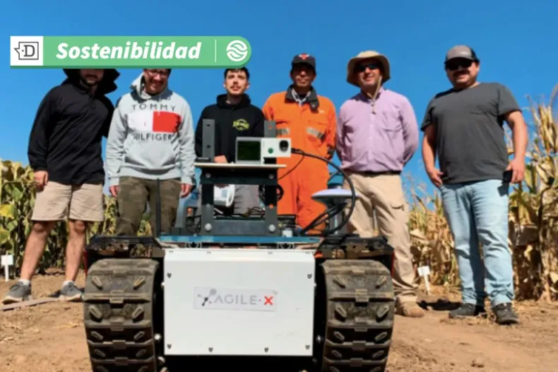 18503 diseno sin titulo 2025 07 03t094801.webp