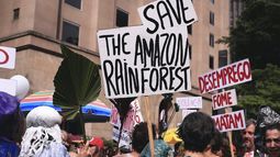 Los ambientalistas critican la falta de acciones concretas en la Cumbre Amazónica