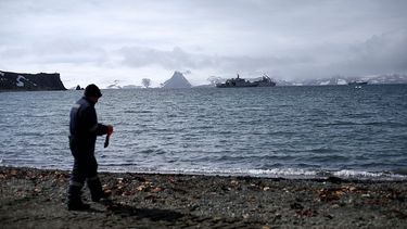 Greenpeace advierte que hielo marino antártico alcanza extensión más baja de su historia