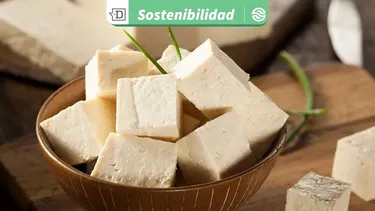 China aprueba micoproteína fúngica: Afirman que esta alternativa es mil veces más eficiente que la carne animal