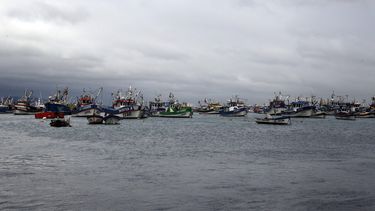 Condepp denuncia campaña de la industria pesquera para desacreditar el Fraccionamiento y bloquear nueva Ley de Pesca