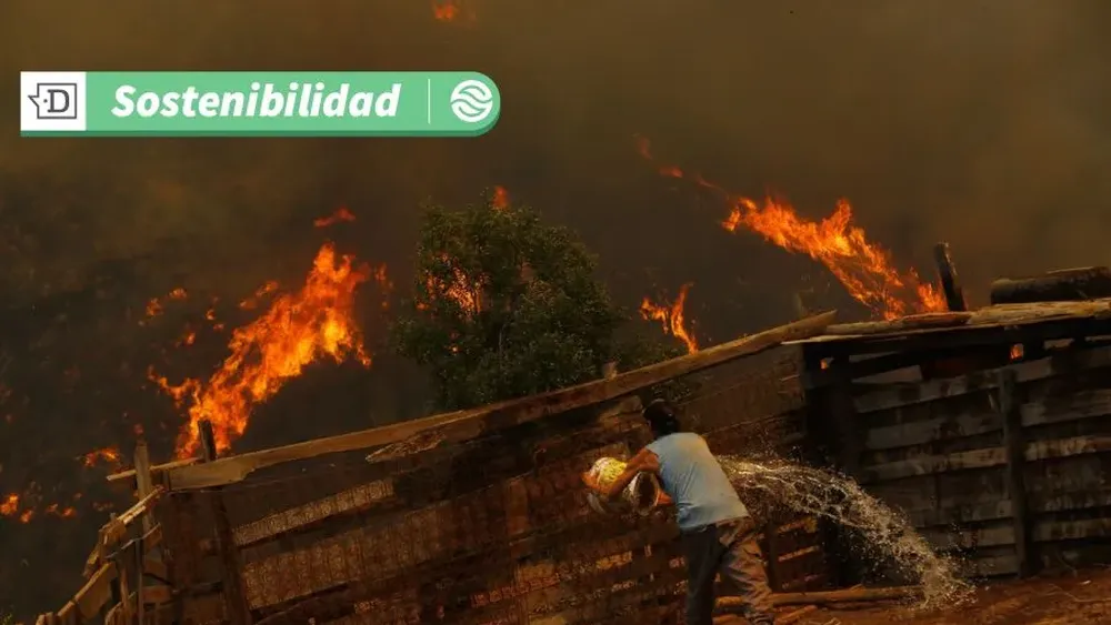 Calor extremo: En 2025 la sostenibilidad es el camino para un clima y un futuro más seguro
