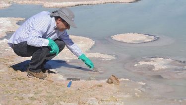 Desierto de Atacama sigue sorprendiendo: Hallan vida microbiana pese a condiciones extrema