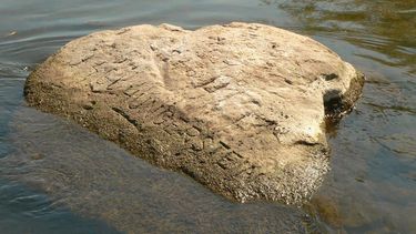 El Desconcierto | piedras del hambre 1.jpg