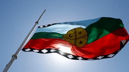 FOTO| Captan bandera Mapuche en protestas de Boston por crimen racial de la policía estadounidense