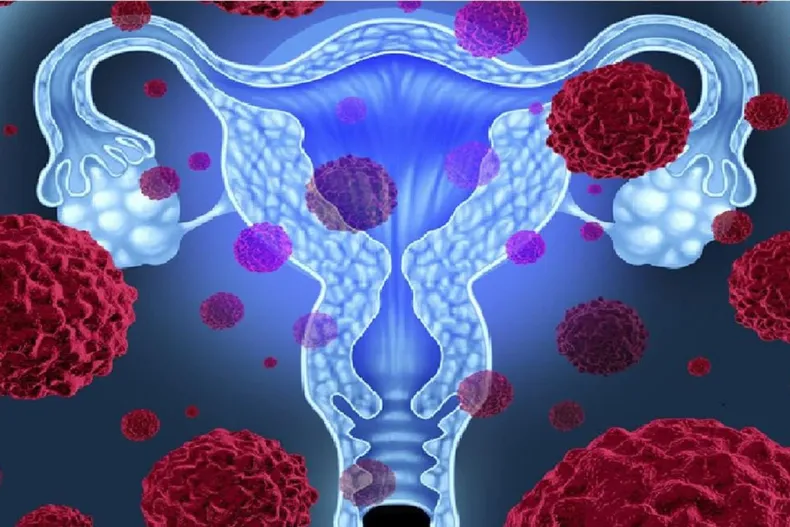 17267 diseno sin titulo 26 1.webp