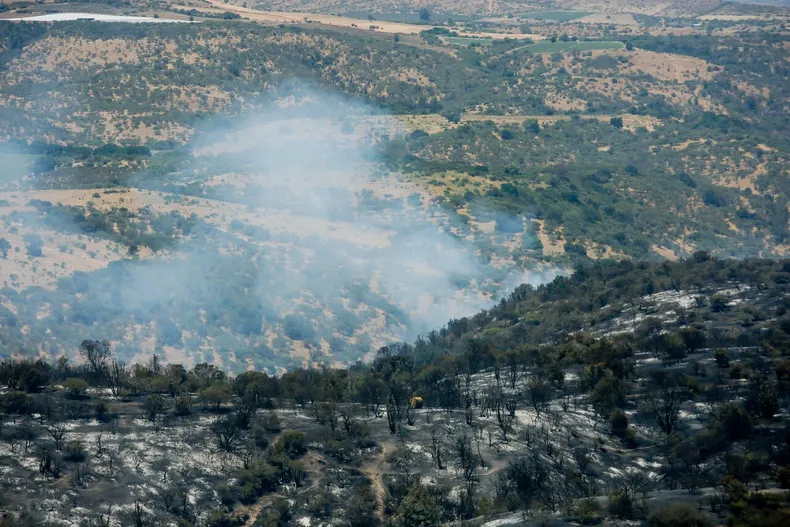 29459 incendio forestal.webp