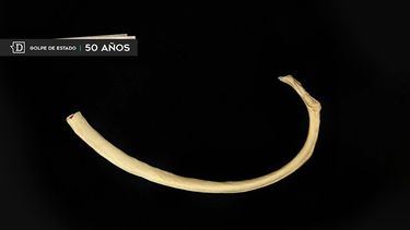 Una osamenta perdida, un hijo de los Matte y una alcaldesa proactiva: Lee los mejores reportajes de ED