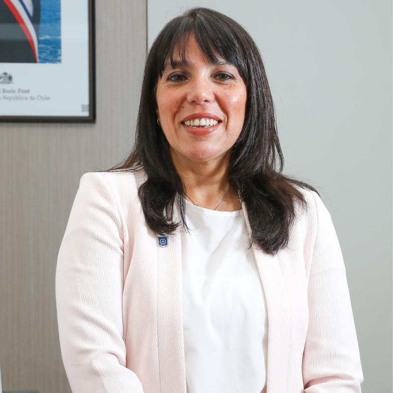 Alejandra Arriaza, directora nacional de Aduanas.&nbsp;
