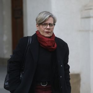 El Desconcierto | Lorena Fries