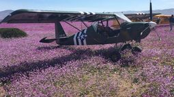 Aterrizaje en el Desierto Florido: Por qué no se investigó a Eugenio Ponce Lerou y “los galácticos”