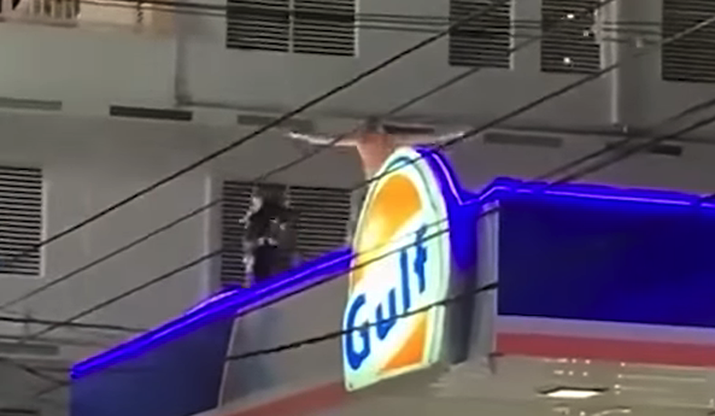 Captura de pantalla 2022 12 29 a las 14.54.23.png