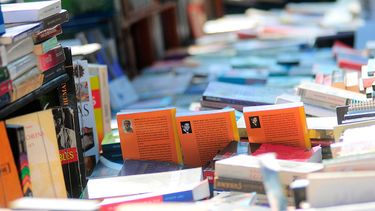 Lanzan convocatoria para concurso literario Mujer en 100 palabras